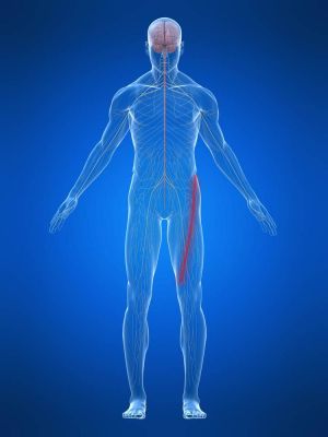 cruralgie podologie ruffec